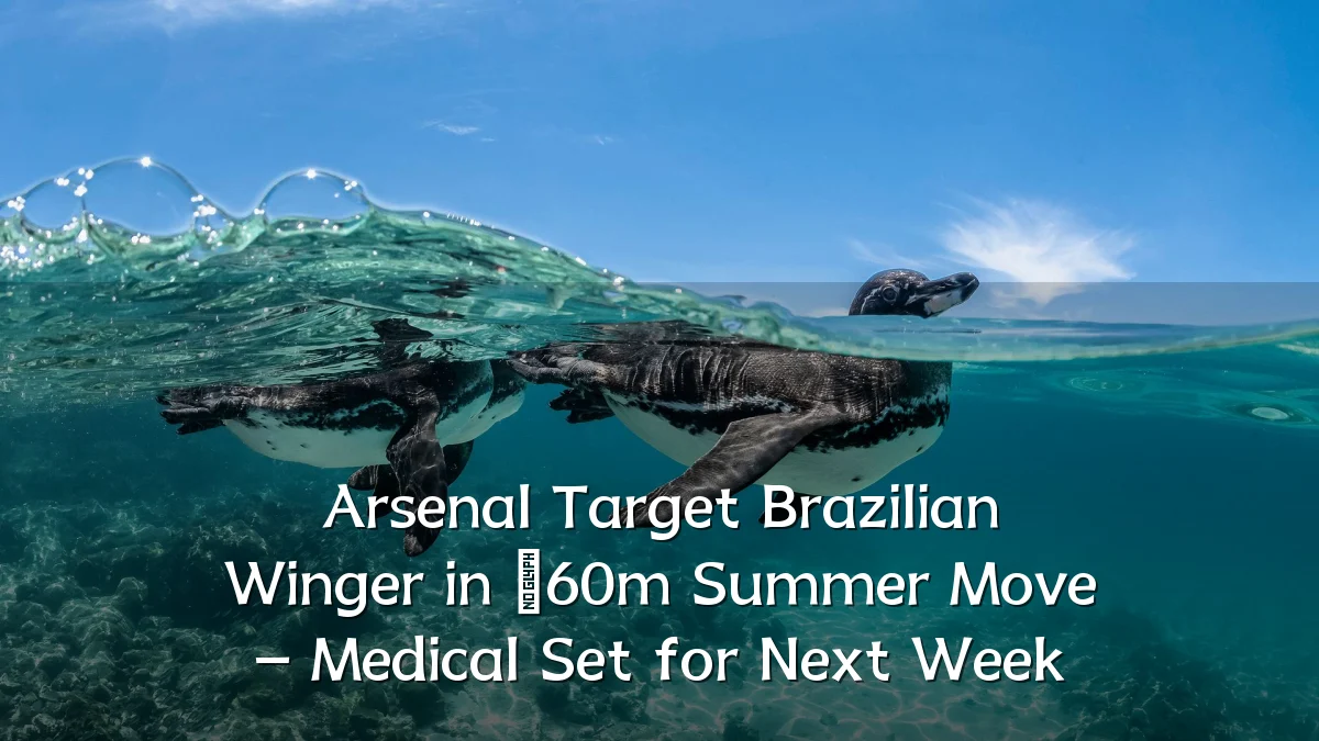 Arsenal Target Brazilian Winger in £60m Summer Move – Medical Set for Next Week