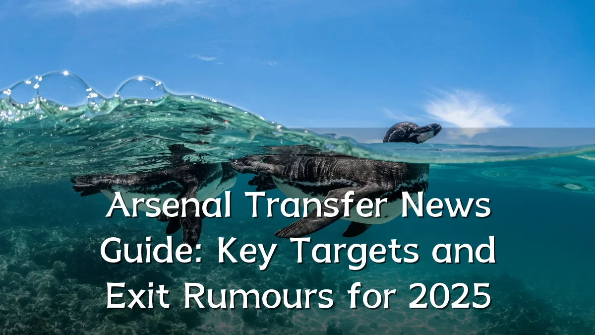 Arsenal Transfer News Guide: Key Targets and Exit Rumours for 2025