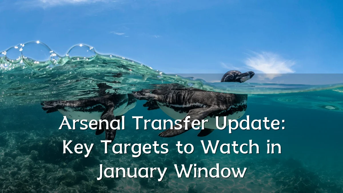 Arsenal Transfer Update: Key Targets to Watch in January Window