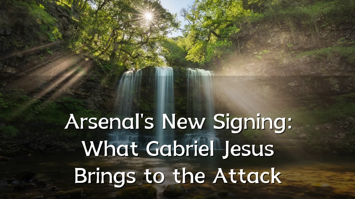 Arsenal's New Signing: What Gabriel Jesus Brings to the Attack