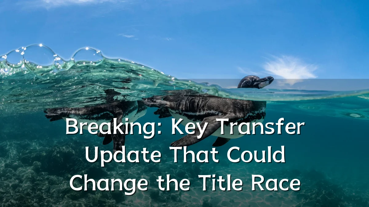 Breaking: Key Transfer Update That Could Change the Title Race