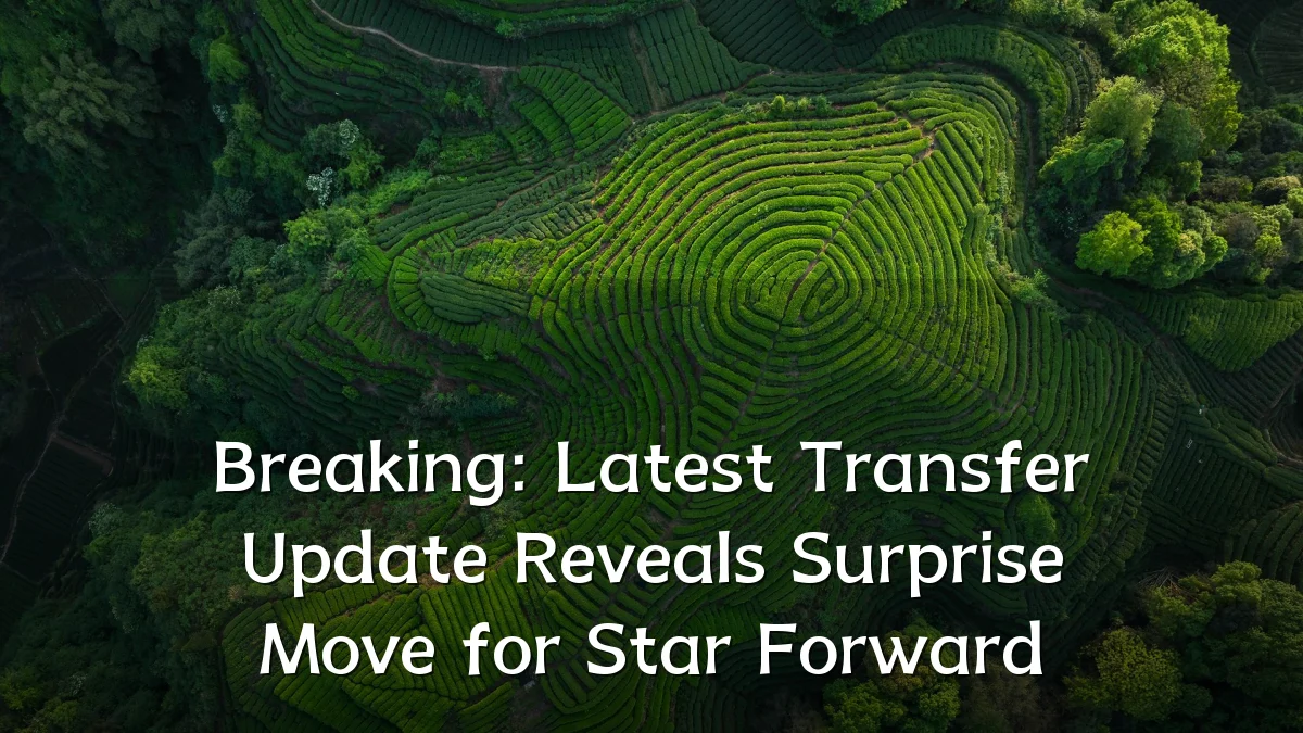 Breaking: Latest Transfer Update Reveals Surprise Move for Star Forward