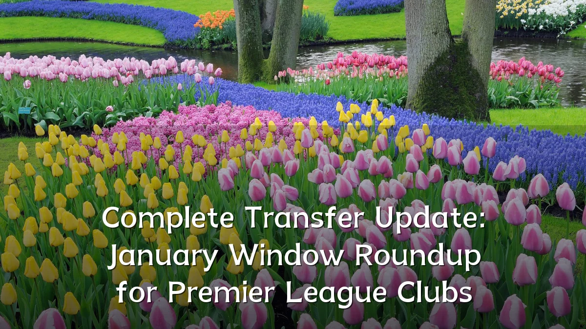 Complete Transfer Update: January Window Roundup for Premier League Clubs