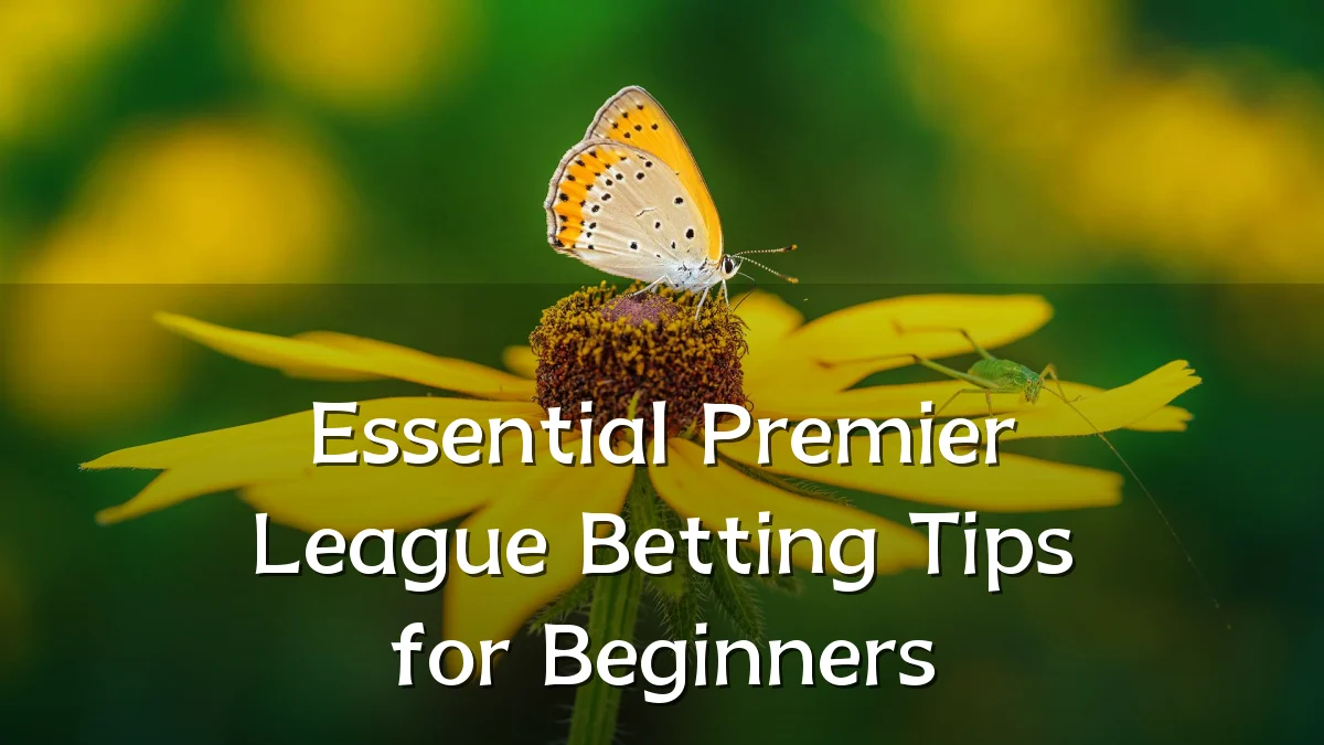 Essential Premier League Betting Tips for Beginners