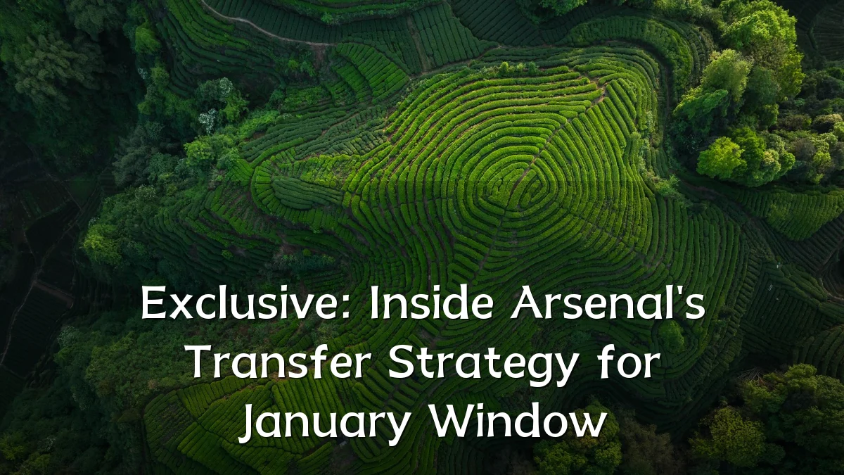 Exclusive: Inside Arsenal's Transfer Strategy for January Window
