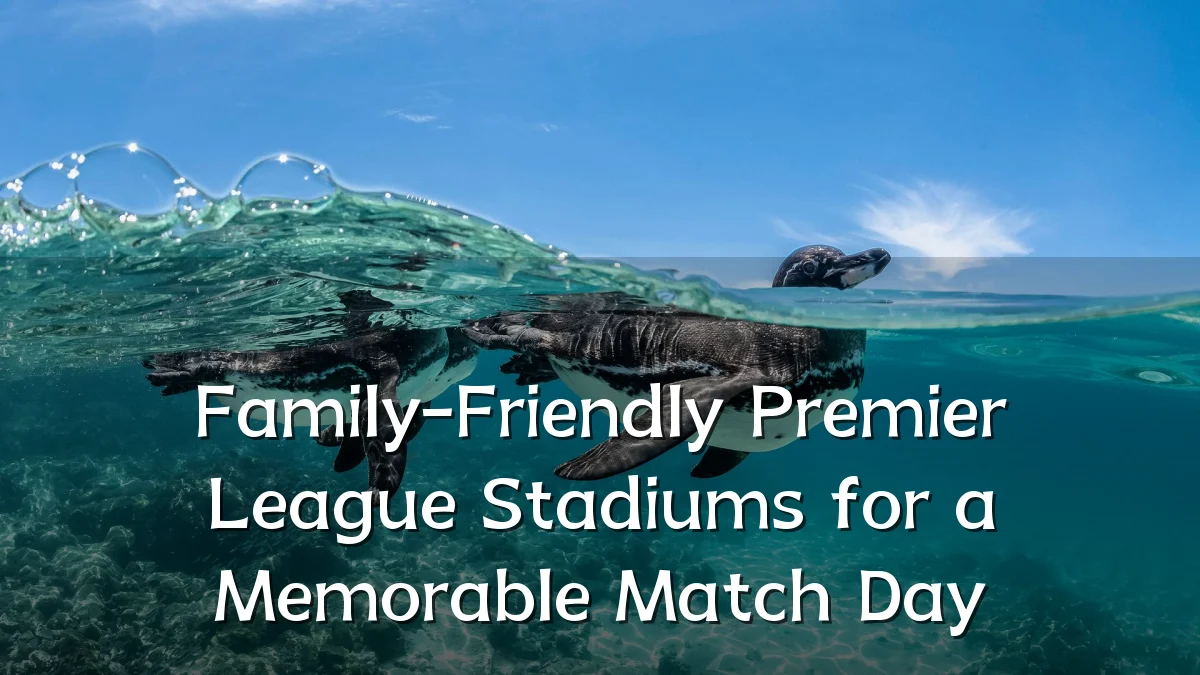 Family-Friendly Premier League Stadiums for a Memorable Match Day