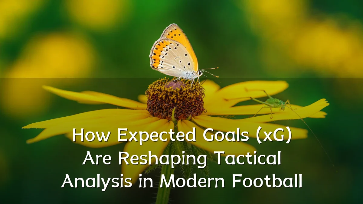 How Expected Goals (xG) Are Reshaping Tactical Analysis in Modern Football