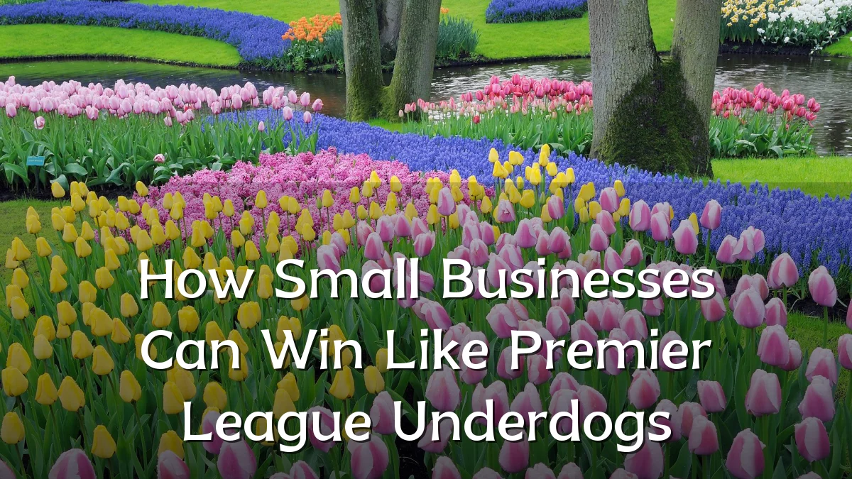 How Small Businesses Can Win Like Premier League Underdogs