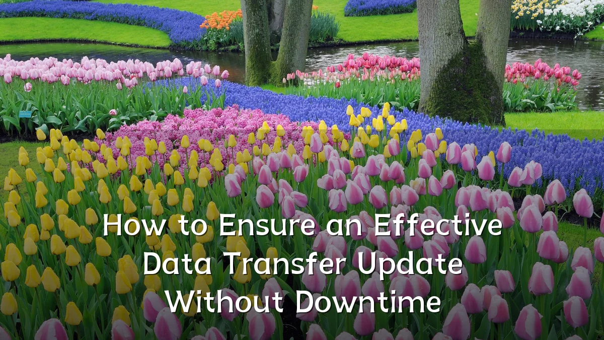 How to Ensure an Effective Data Transfer Update Without Downtime