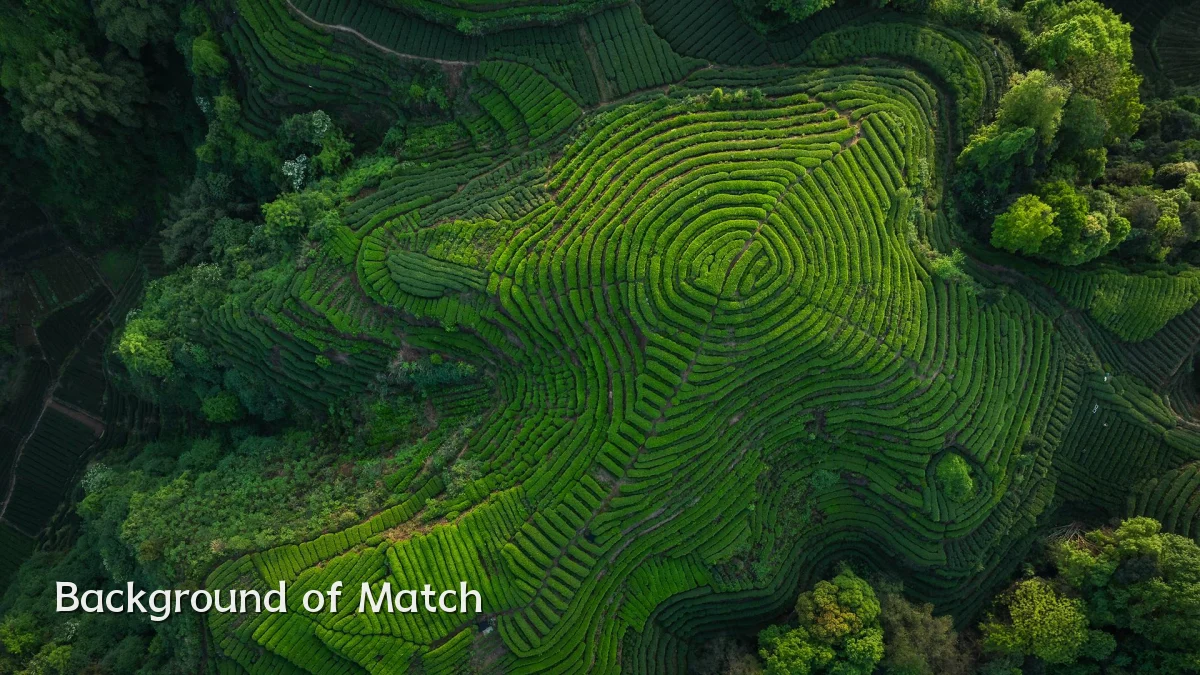 Background of Match
