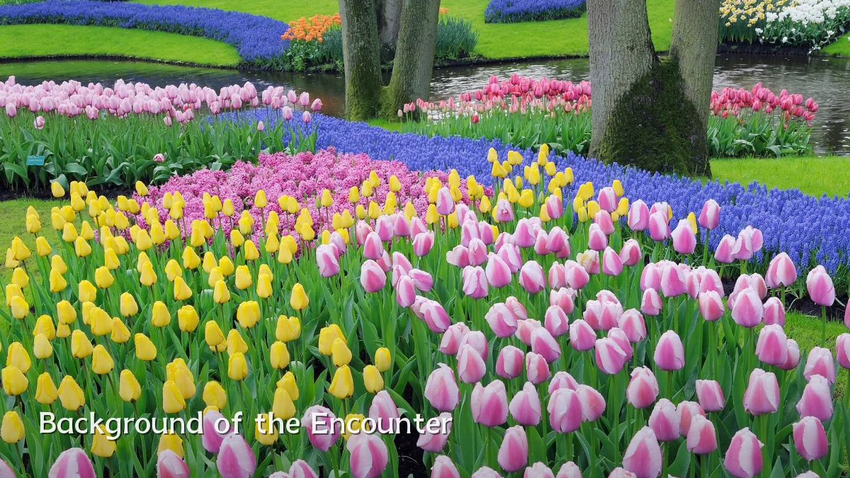 Background of the Encounter