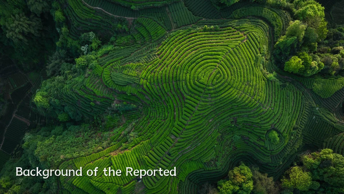 Background of the Reported