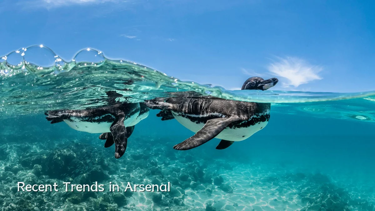 Recent Trends in Arsenal