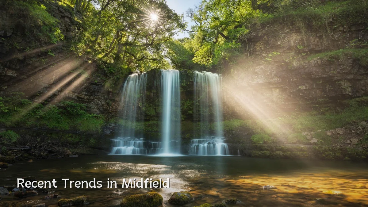 Recent Trends in Midfield