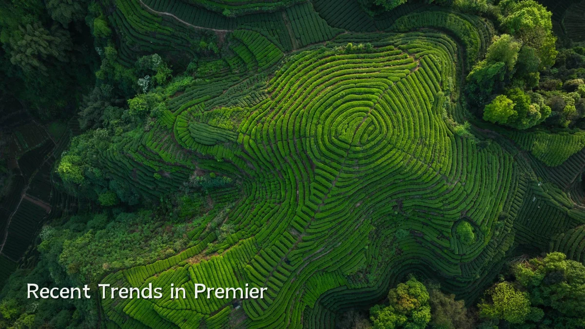 Recent Trends in Premier