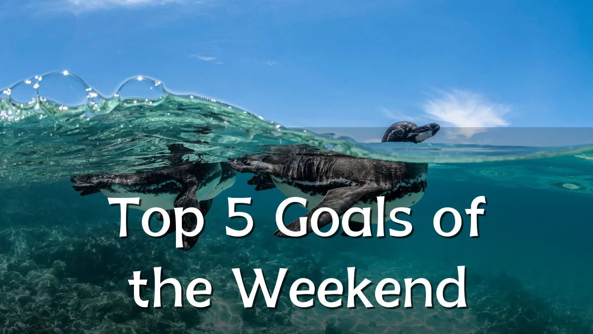 Top 5 Goals of the Weekend