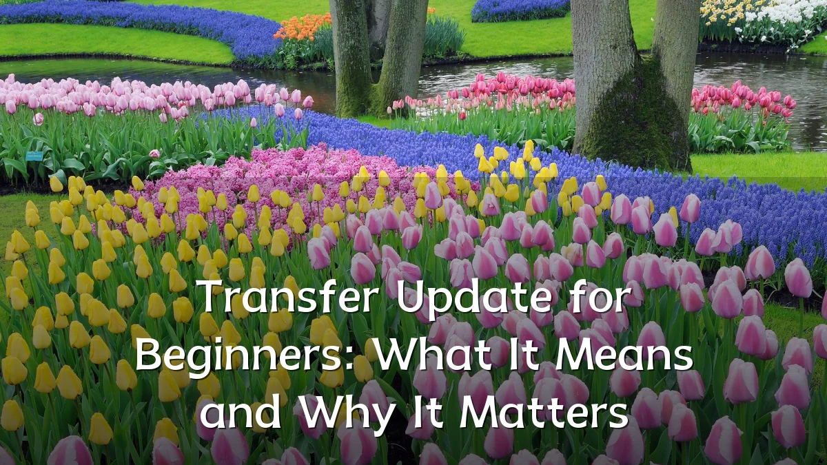 Transfer Update for Beginners: What It Means and Why It Matters
