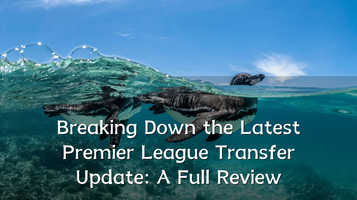 Breaking Down the Latest Premier League Transfer Update: A Full Review
