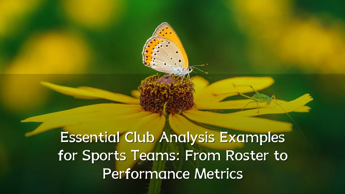 Essential Club Analysis Examples for Sports Teams: From Roster to Performance Metrics