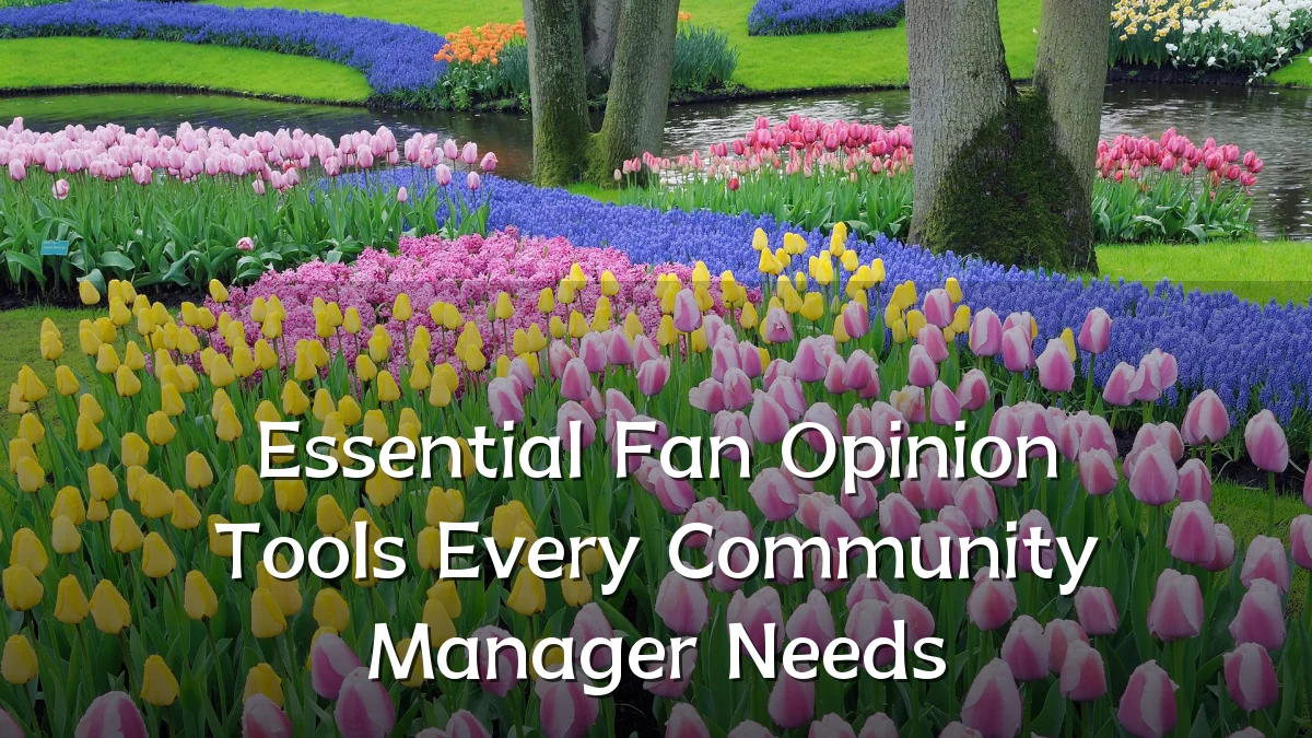 Essential Fan Opinion Tools Every Community Manager Needs