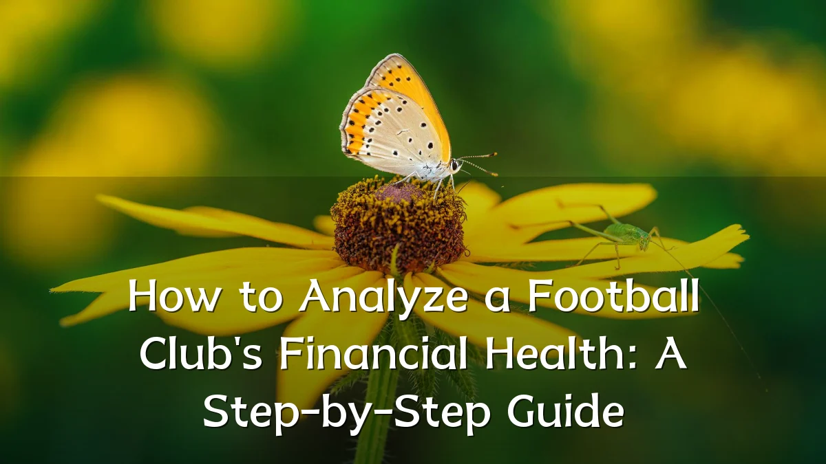 How to Analyze a Football Club's Financial Health: A Step-by-Step Guide