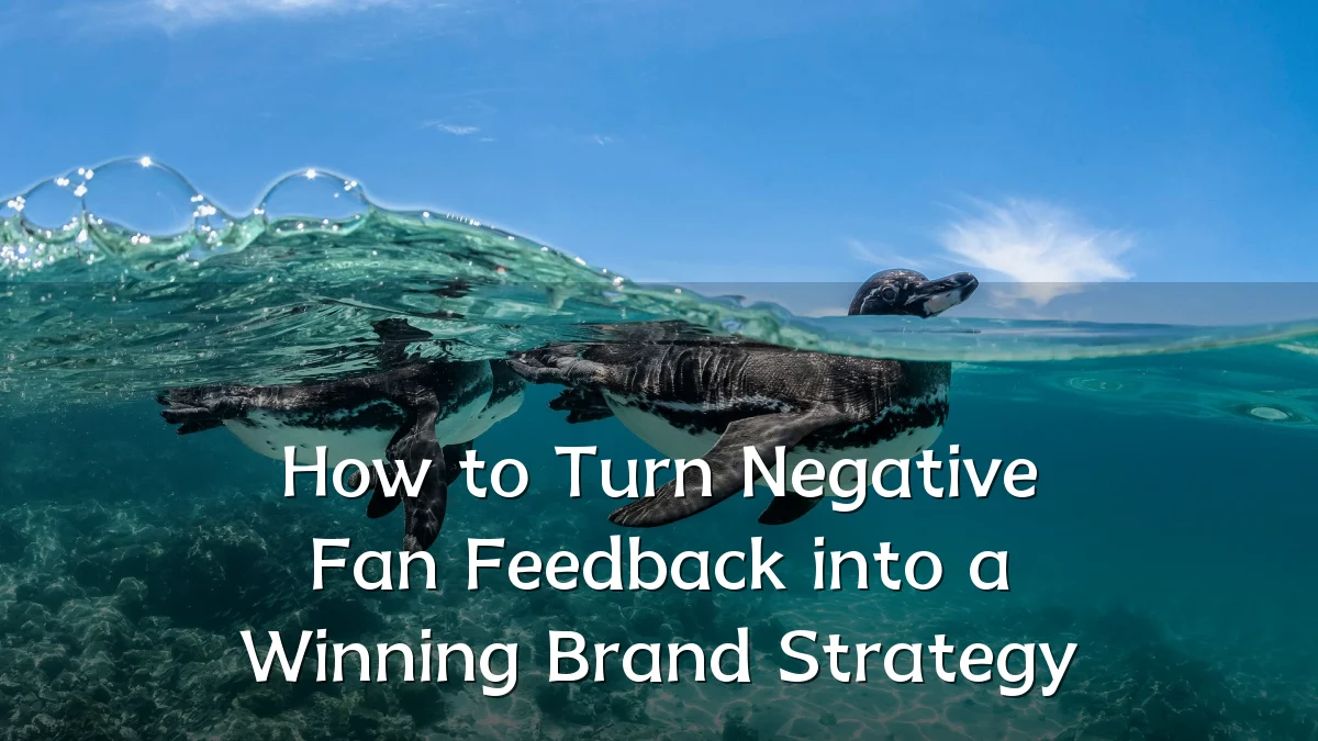 How to Turn Negative Fan Feedback into a Winning Brand Strategy