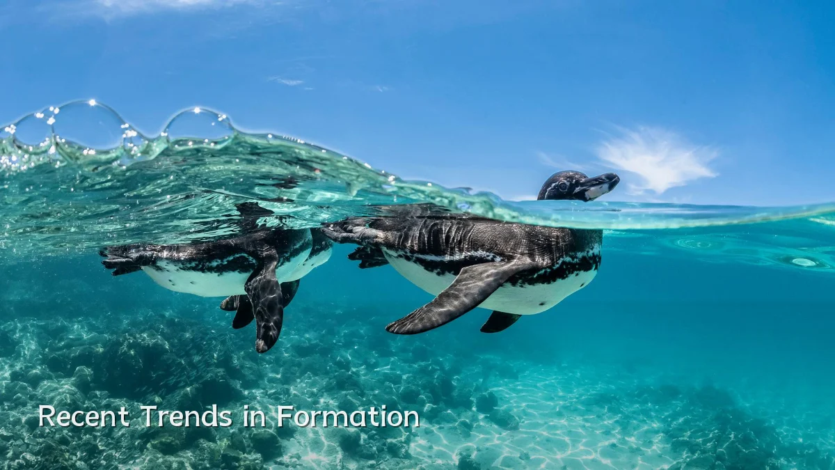 Recent Trends in Formation