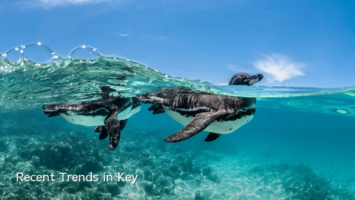 Recent Trends in Key