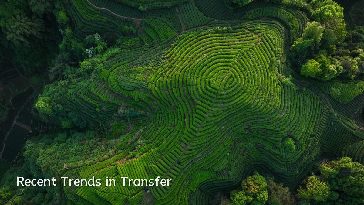 Recent Trends in Transfer