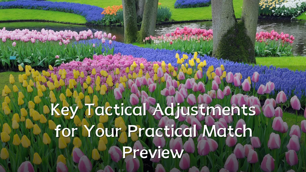Key Tactical Adjustments for Your Practical Match Preview