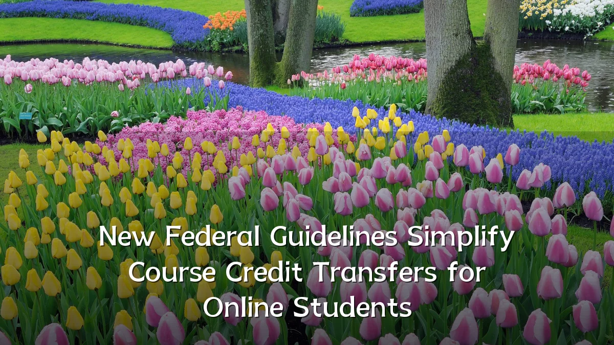 New Federal Guidelines Simplify Course Credit Transfers for Online Students
