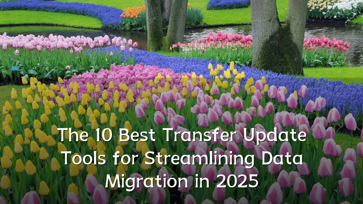 The 10 Best Transfer Update Tools for Streamlining Data Migration in 2025