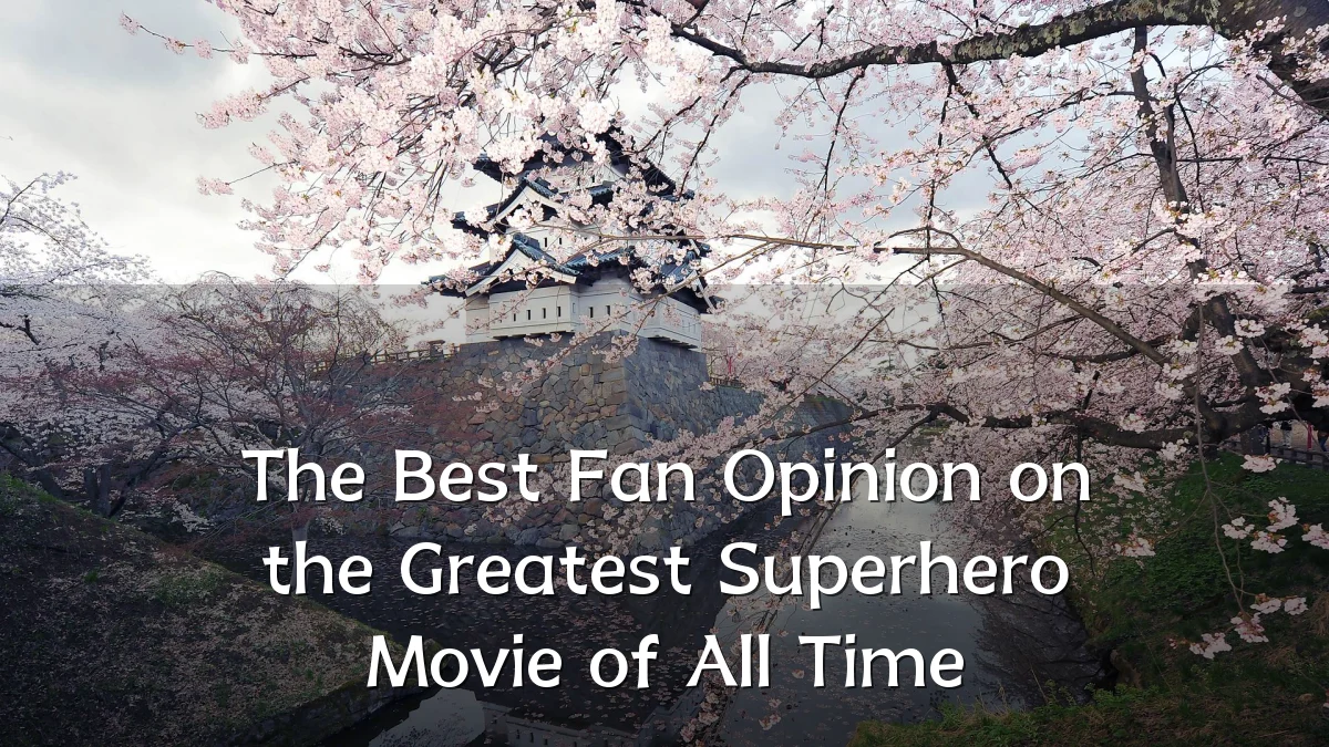The Best Fan Opinion on the Greatest Superhero Movie of All Time