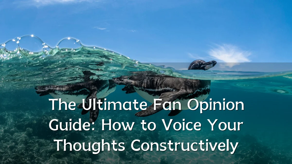The Ultimate Fan Opinion Guide: How to Voice Your Thoughts Constructively
