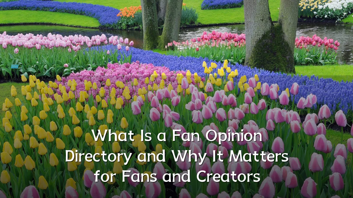 What Is a Fan Opinion Directory and Why It Matters for Fans and Creators