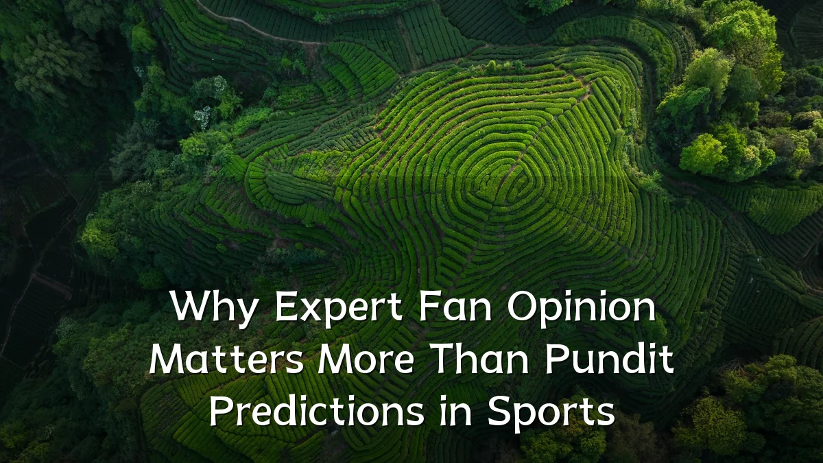 Why Expert Fan Opinion Matters More Than Pundit Predictions in Sports